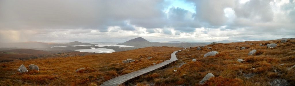 Pub irlandais typique avec moutons dans le Connemara