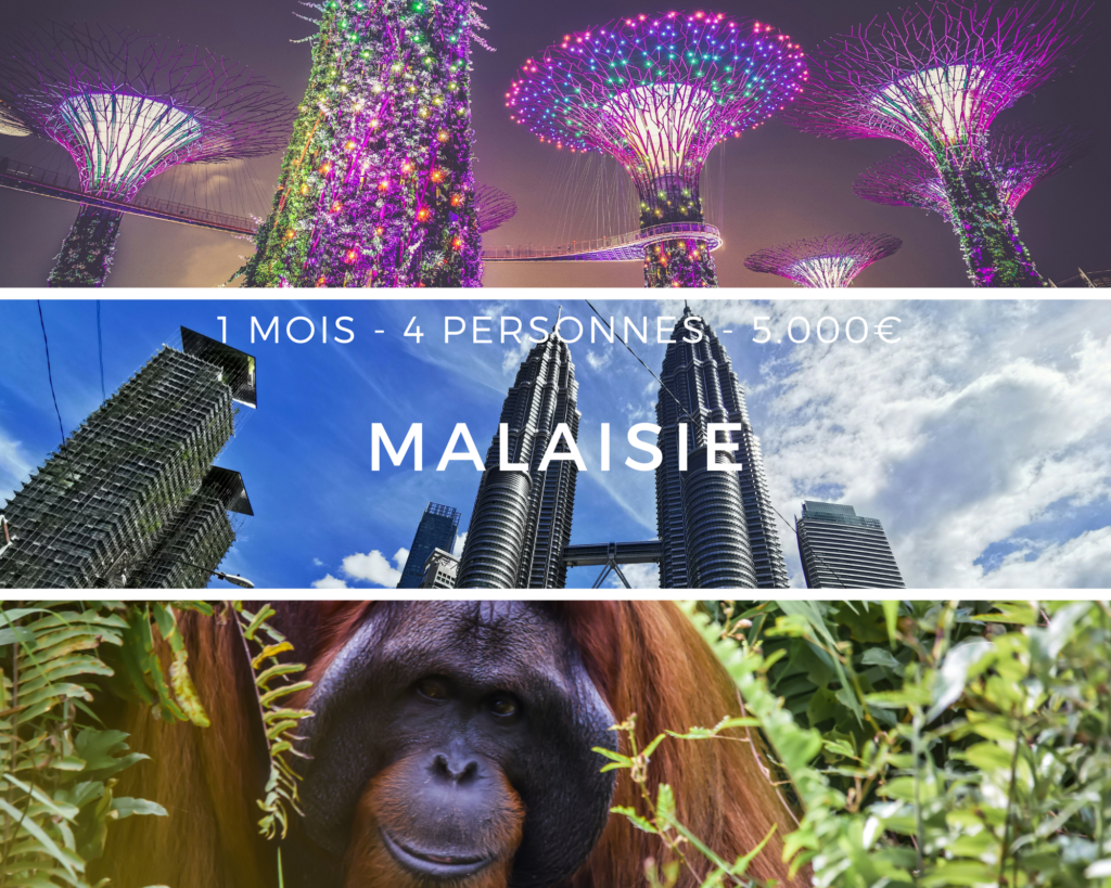 Vue panoramique des Gardens by the Bay à Singapour, orang-outan dans la jungle de Bornéo, et tours Petronas illuminées à Kuala Lumpur.